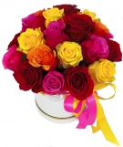 Treasured Moments: roses from 9 to 50