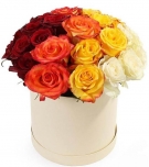 Roses Brightness from 15 to 51 roses