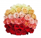 Rainbow Roses bouquet