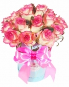 Malibu - Jumilia Roses from 9 to 51