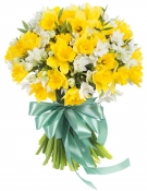 Narcissus Bouquet - 5 sizes
