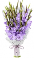 Liliana Gladioli. Options from 7 to 35
