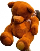 Teddy 170-180 cm, 6 colors