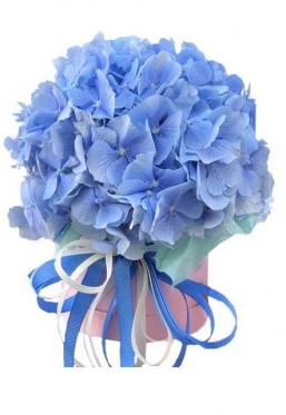 В фиолетово-голубых тонах