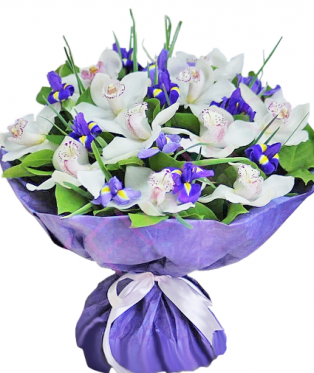 Orchids in a Blue shade