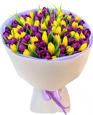 Yellow & Liluc tulips, from 11 to 101