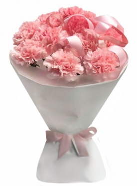 Pink Carnations, bouquets from 9 to 101