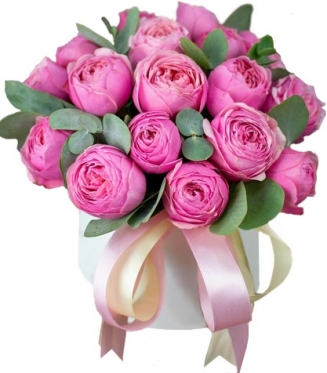 Silva Gorgeous - from 5 to 25 stems