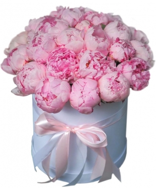 25 Peonies at a Hat Box