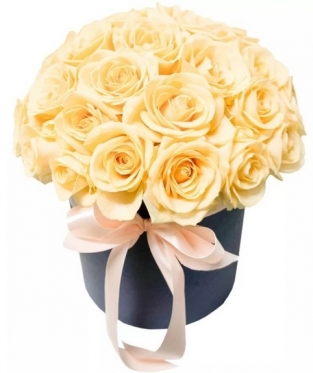 Pink-Peachy Roses from 9 to 51