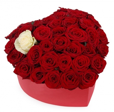 Just Love, from 11 to 51 roses