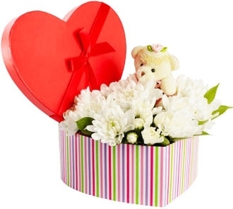 Милий подарунок: Ведмежа на Полюсi