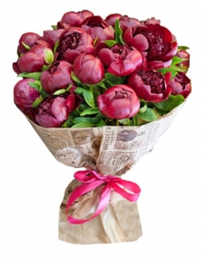 Яскраві Півонії, букетми вiд 5 да 51