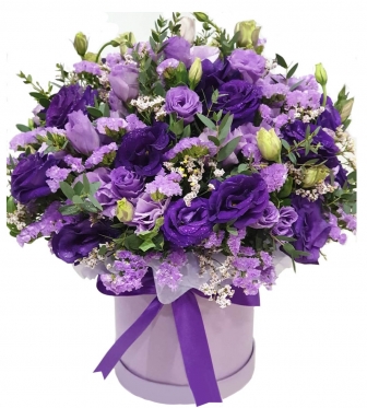 Ночные грезы