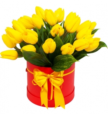 Golden. Options from 11 to 101