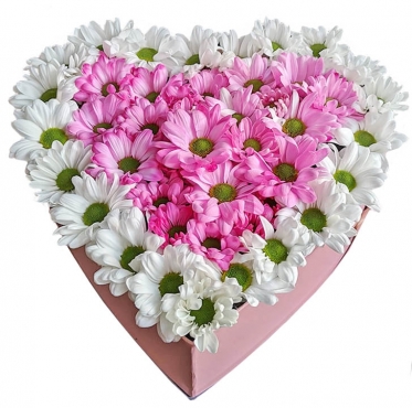 Сердце из ромашек