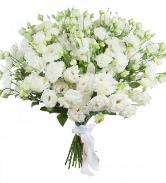 White Eustoma - a Simple Luxury 7 to 33