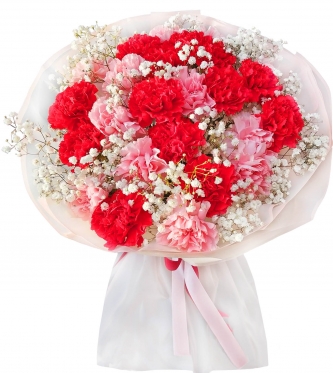 Red & Pink Carnations mix .... from 9 to 101