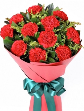 Red Carnations, Bouquets from 9 to 101