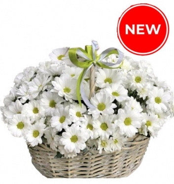 Basket of Daisies