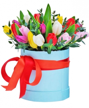 Multicolored Tilips Box from 11  to 101