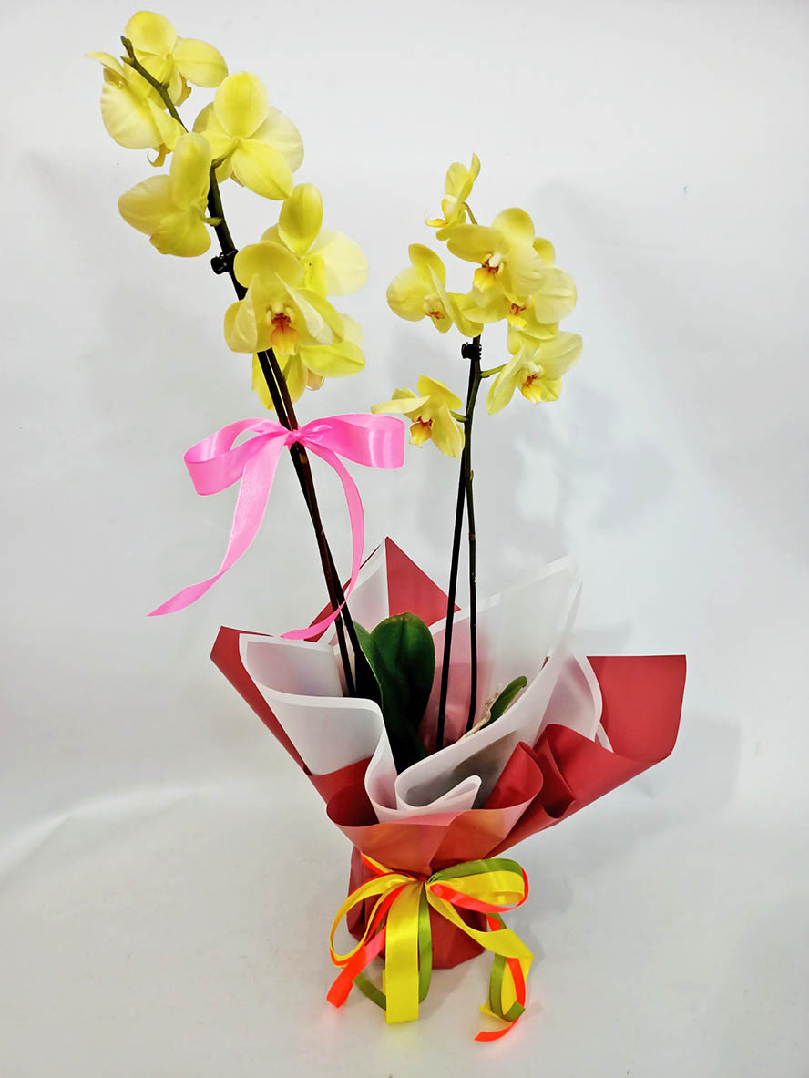 Фото доставки