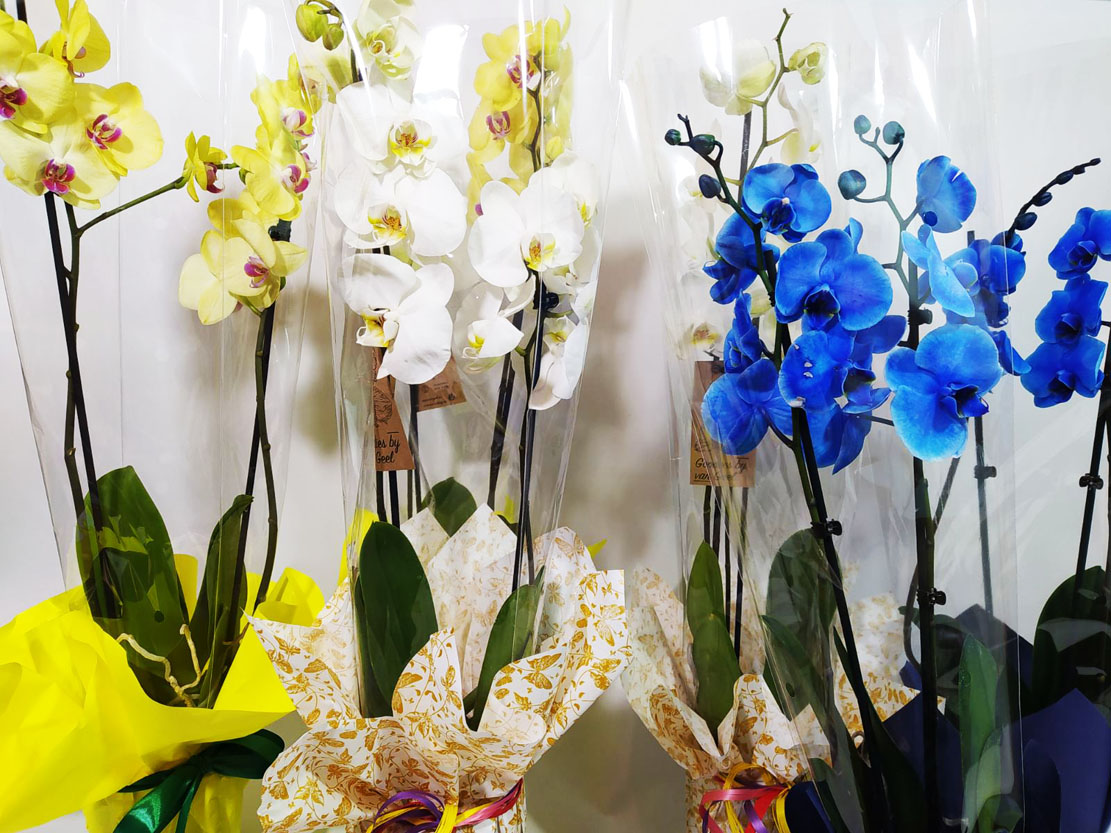 Фото доставки