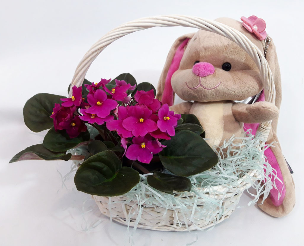 Фото доставки