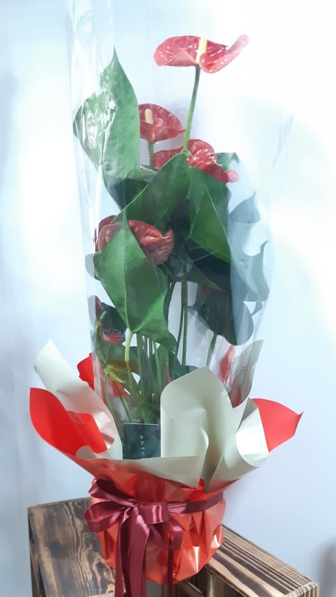 Фото доставки