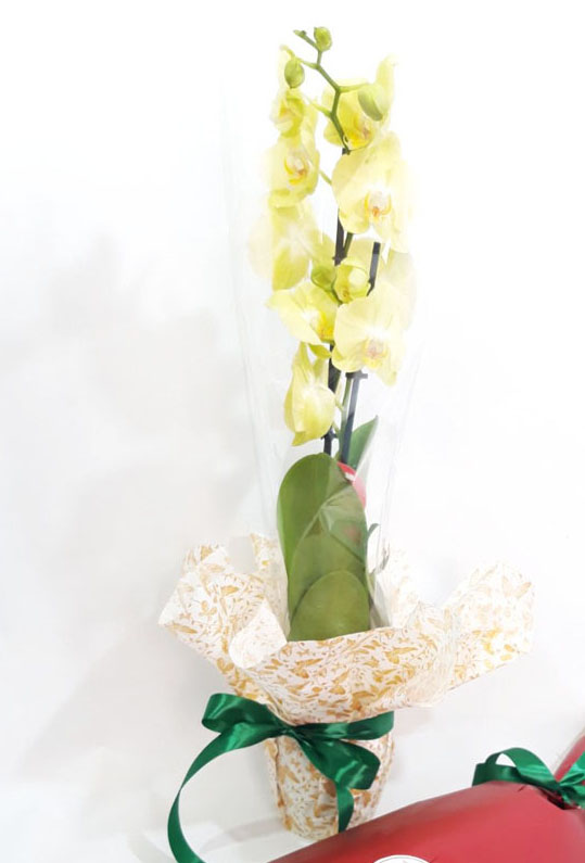 Фото доставки