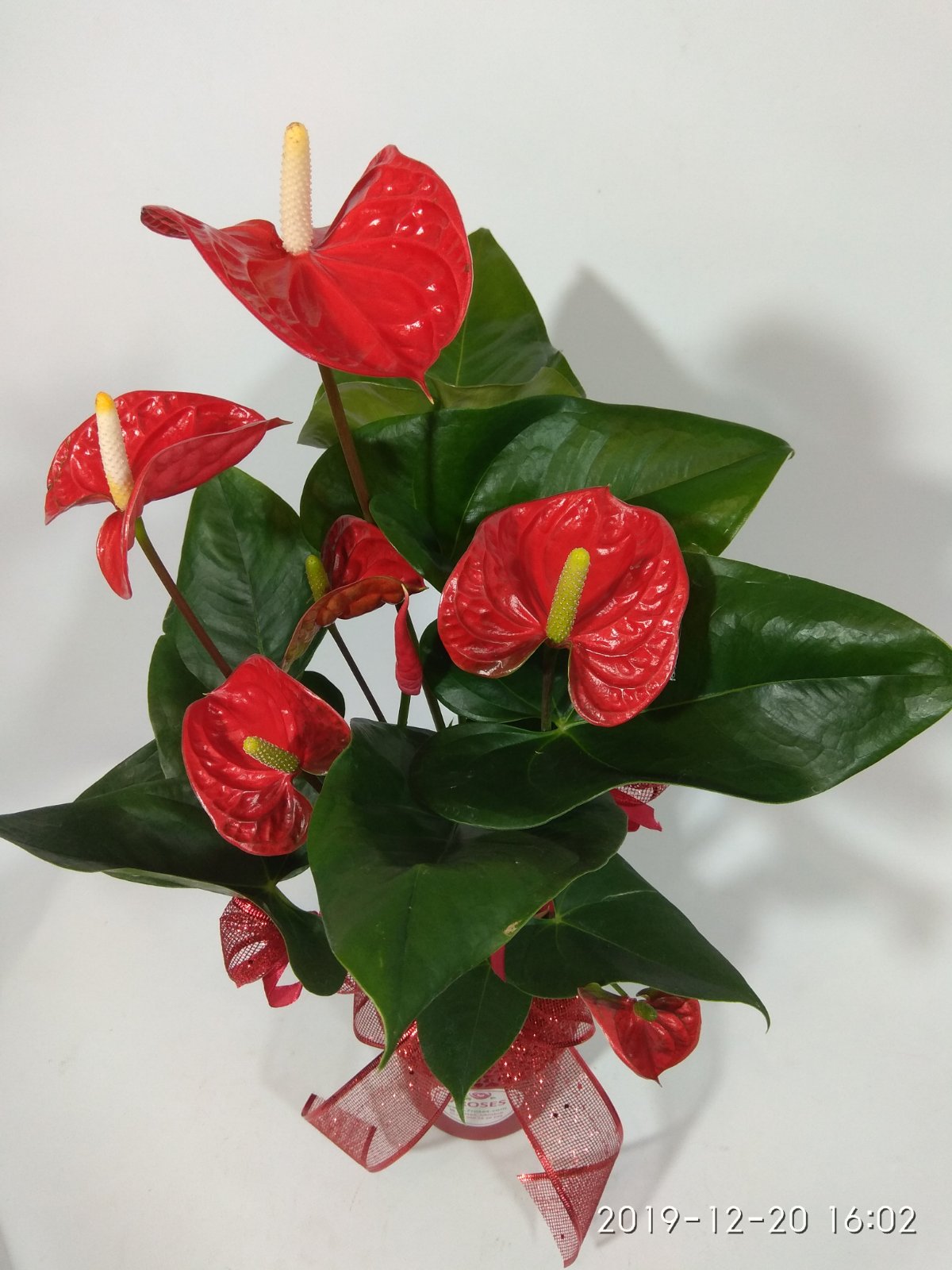 Фото доставки