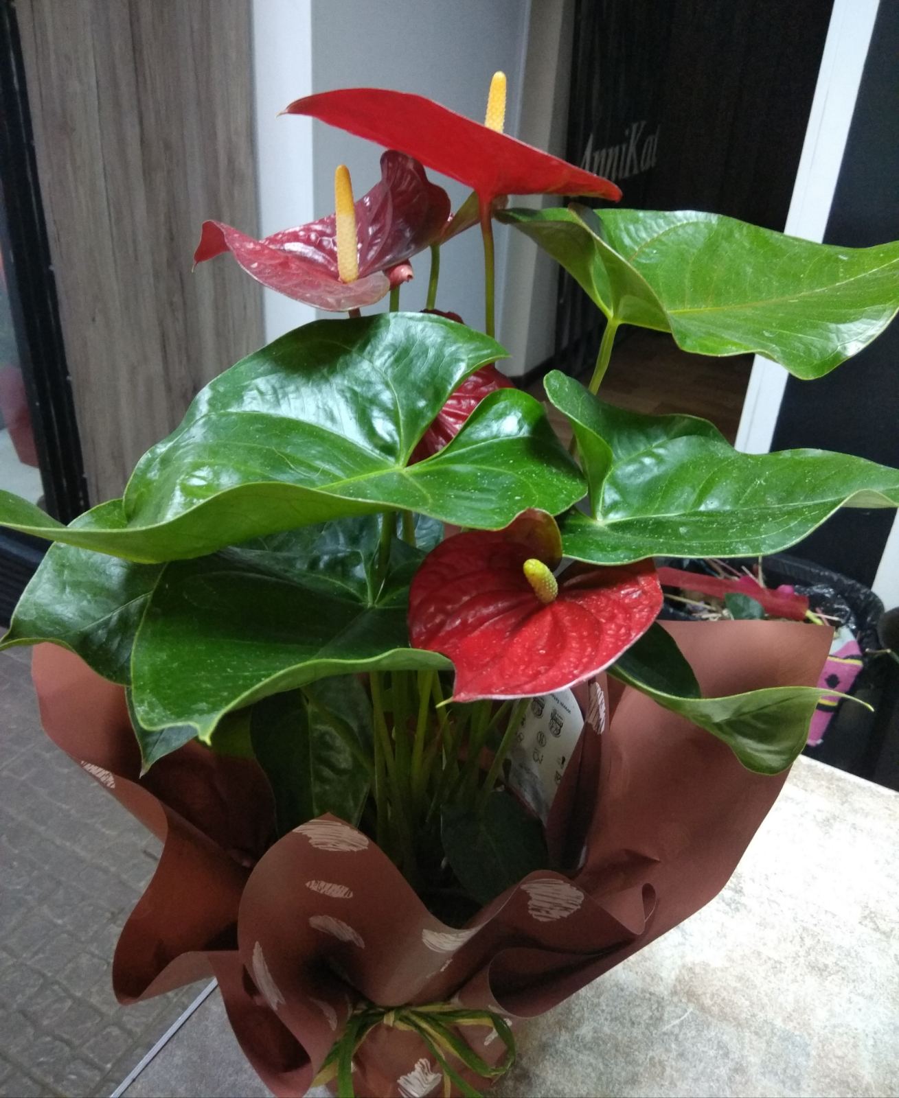 Фото доставки