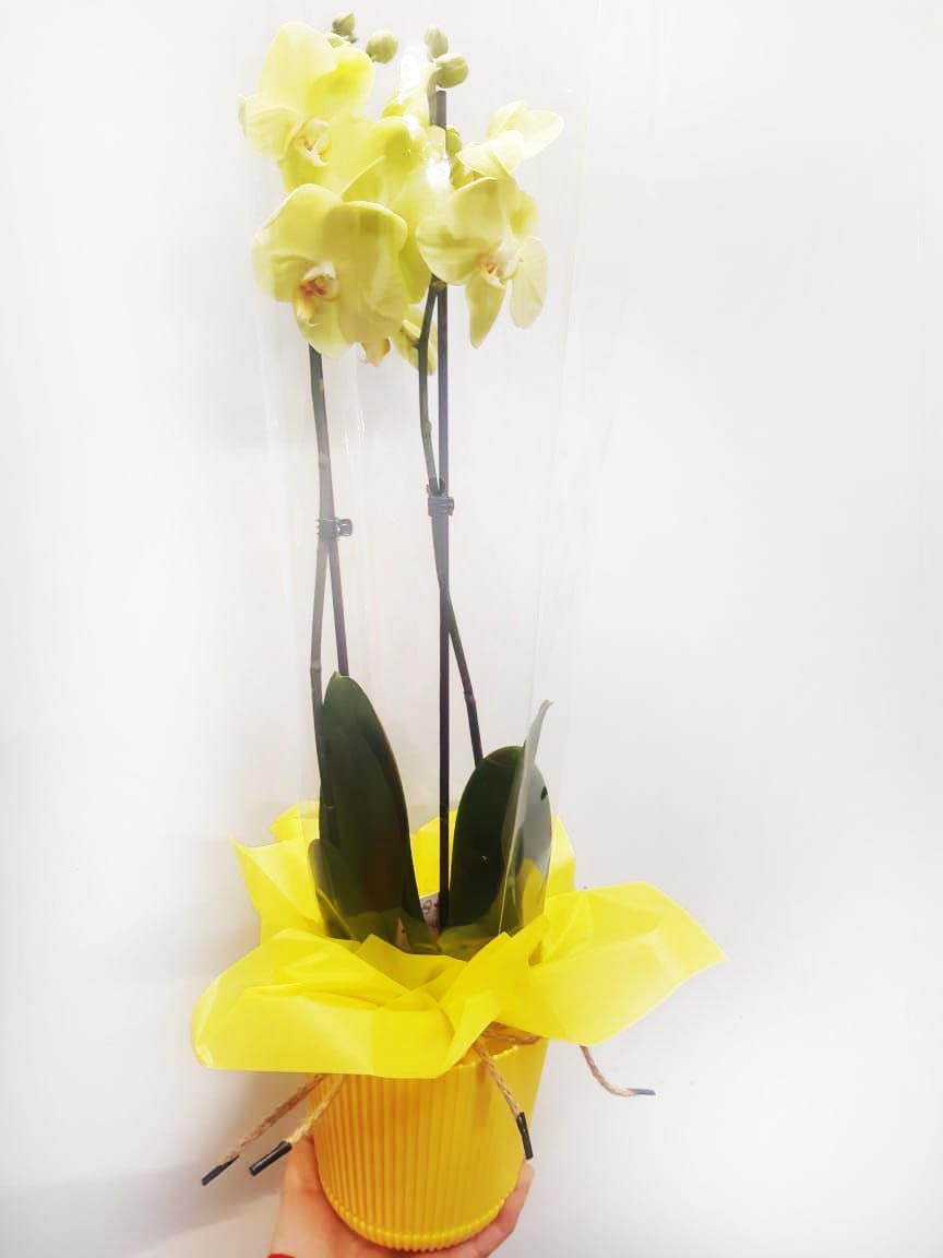 Фото доставки