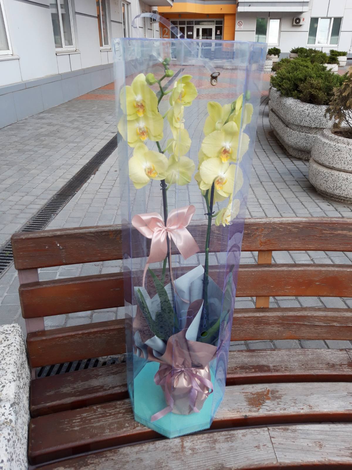 Фото доставки