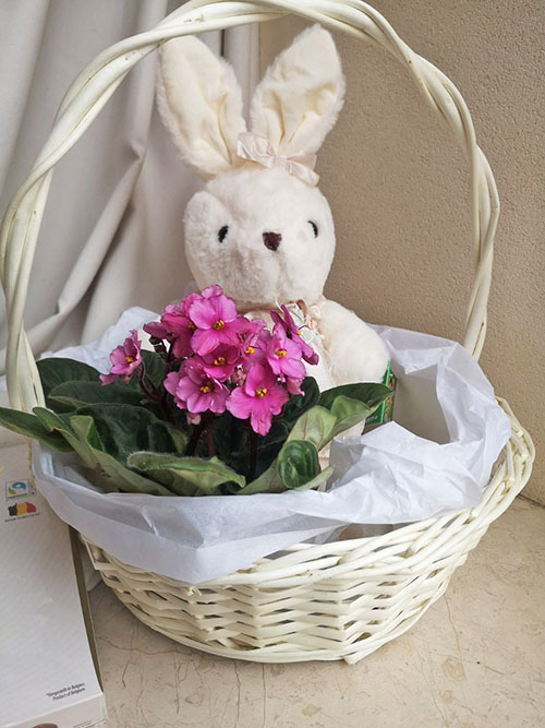 Фото доставки