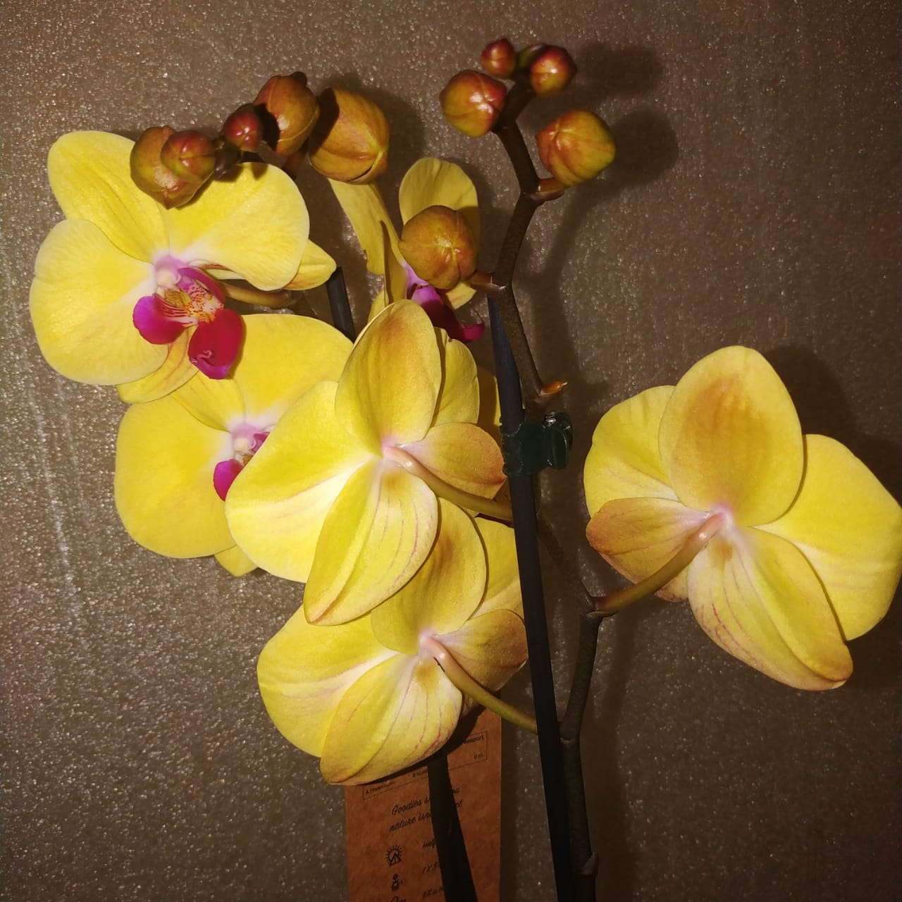 Фото доставки