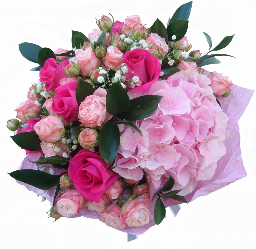 Очарование image 0 Очарование image 0