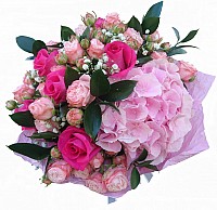 Очарование image 0