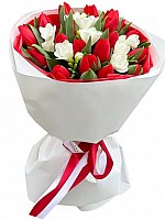 Tulips and freesias image 0